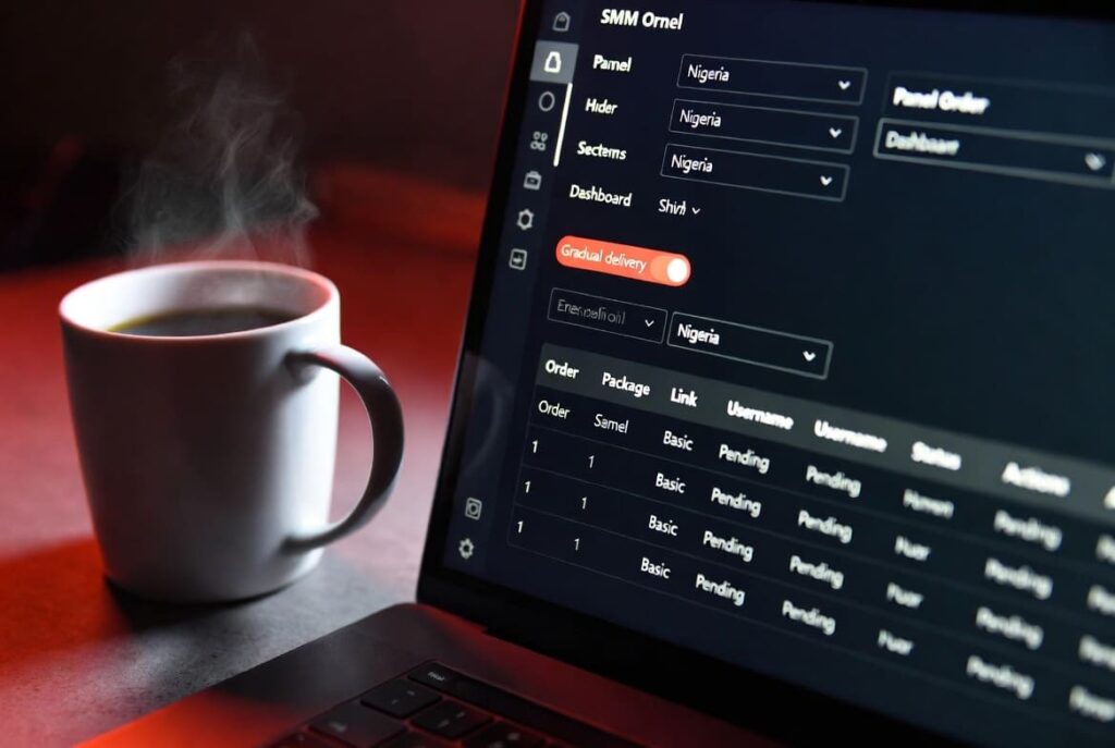 Nigerian marketer using SMM panel with gradual engagement warmup settings for Instagram growth