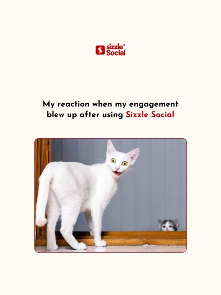 Surprised white cat looking back in a Sizzle Social meme about getting more social media engagement and audience reach