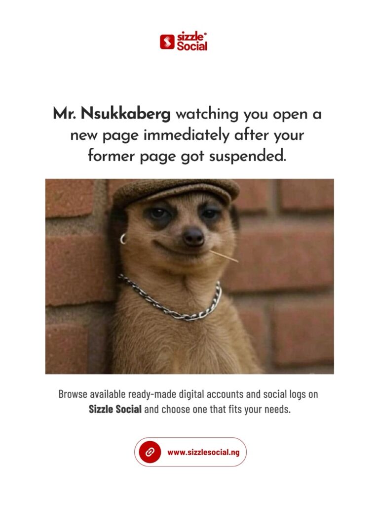 Funny Sizzle Social design about starting another social media page and exploring ready-made Digital Accounts and Social Logs in Nigeria